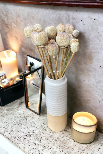 Dried Poppy Heads: Timeless Elegance for Your Home All Year Round